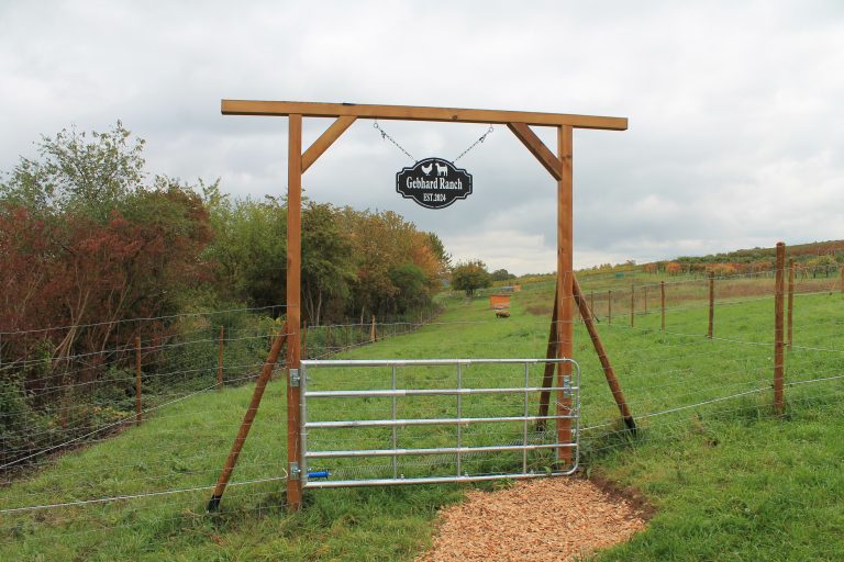 Neue Weide für den Winter