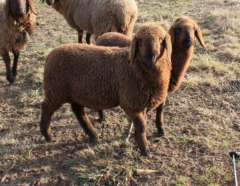 Winterzeit – Update